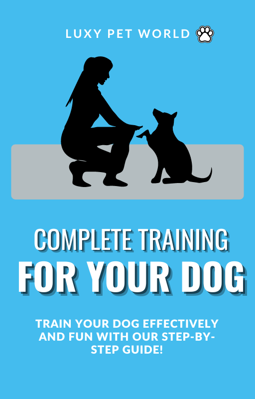 Dog training