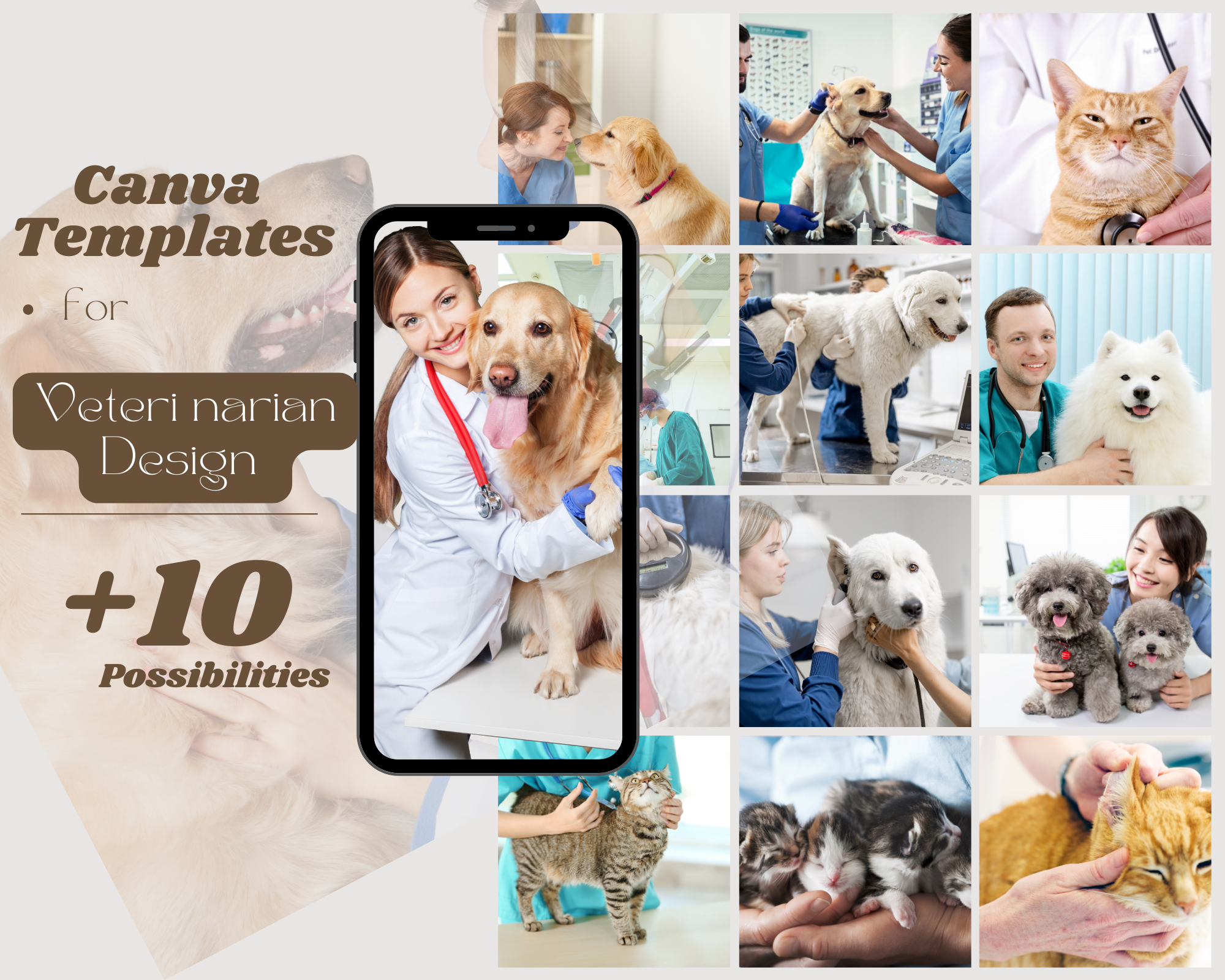 Canva Template veterianian +10 possibilities