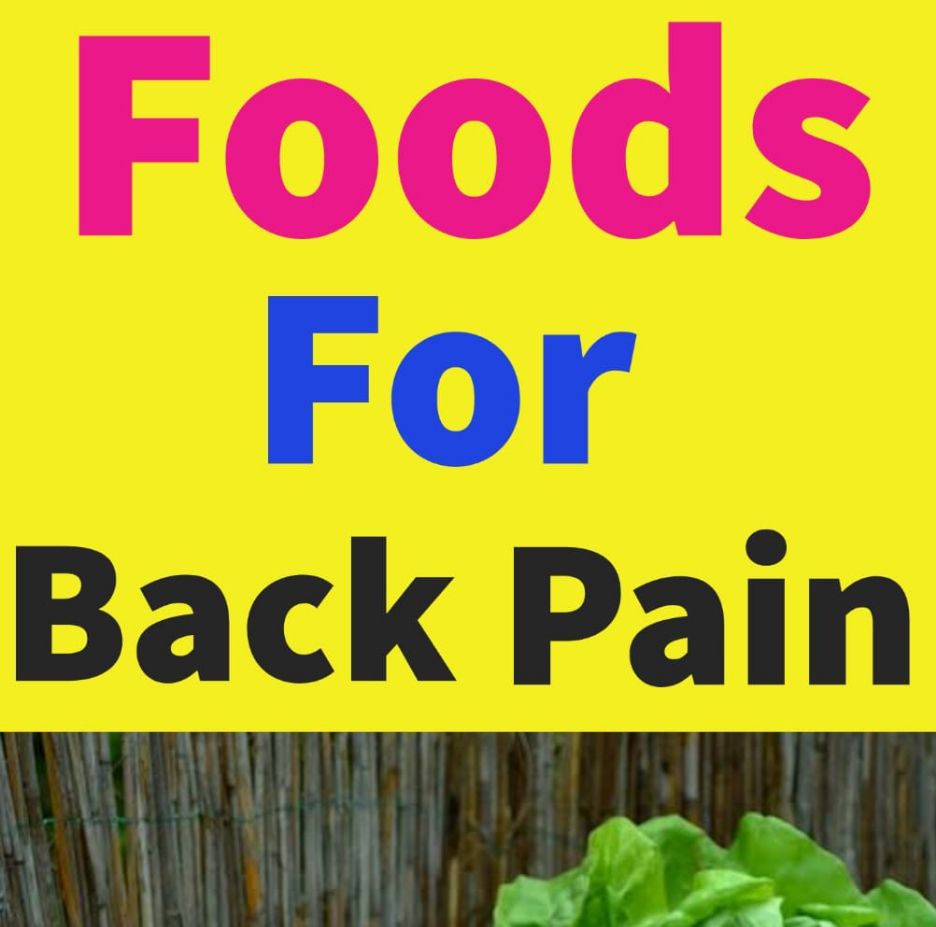 Foods for back pain