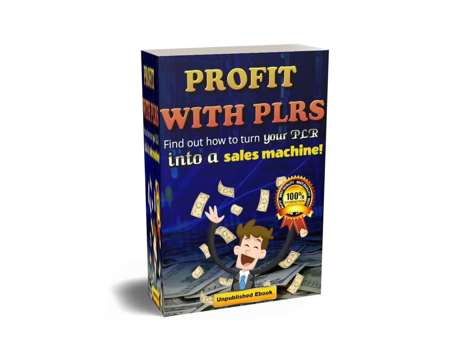 Profiting with PLRs