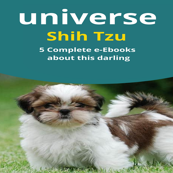 Shih Tzu Universe - Everything You Need to Know About This Little One