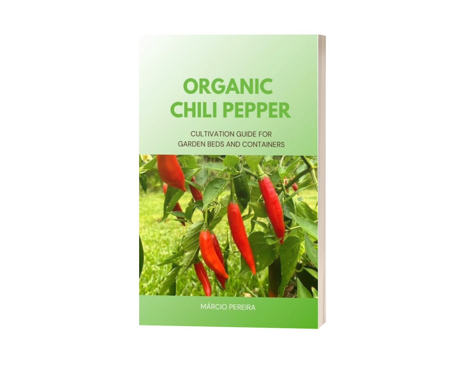 Organic Chili Pepper