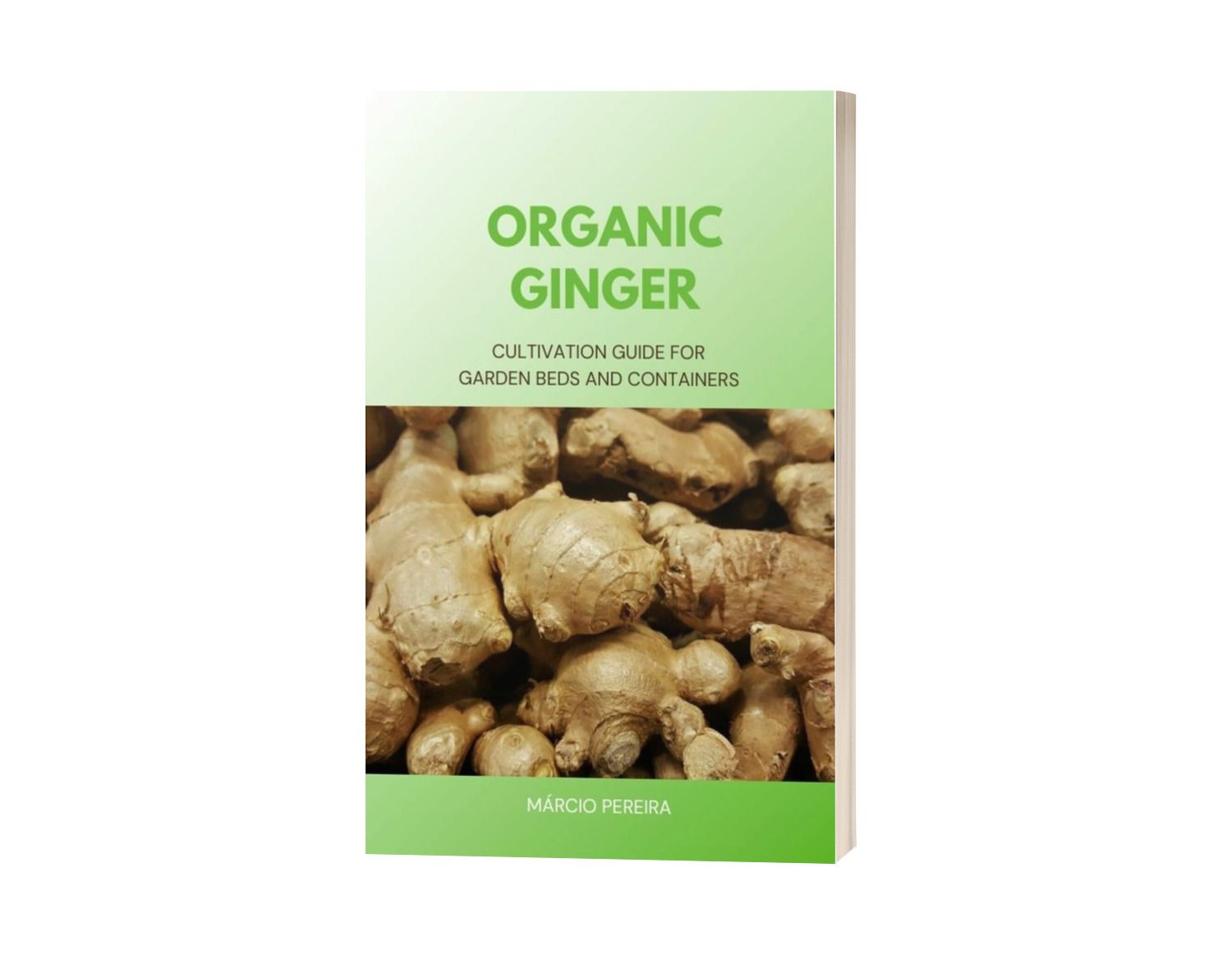 Organic Ginger