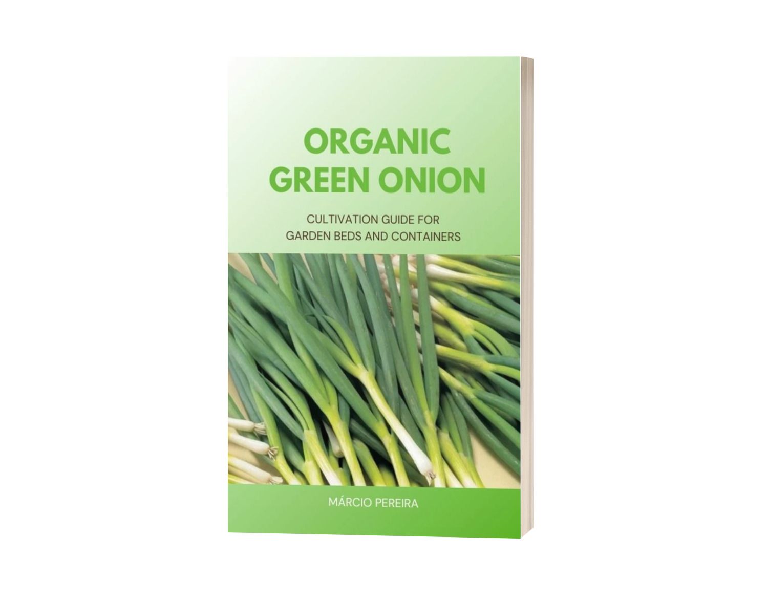 Organic Green Onion