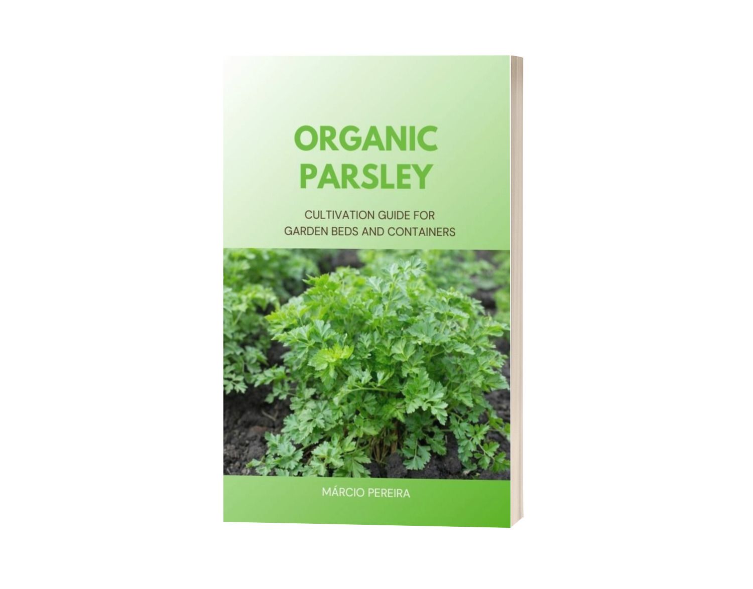 Organic Parsley