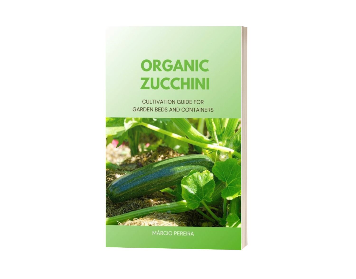 Organic Zucchini