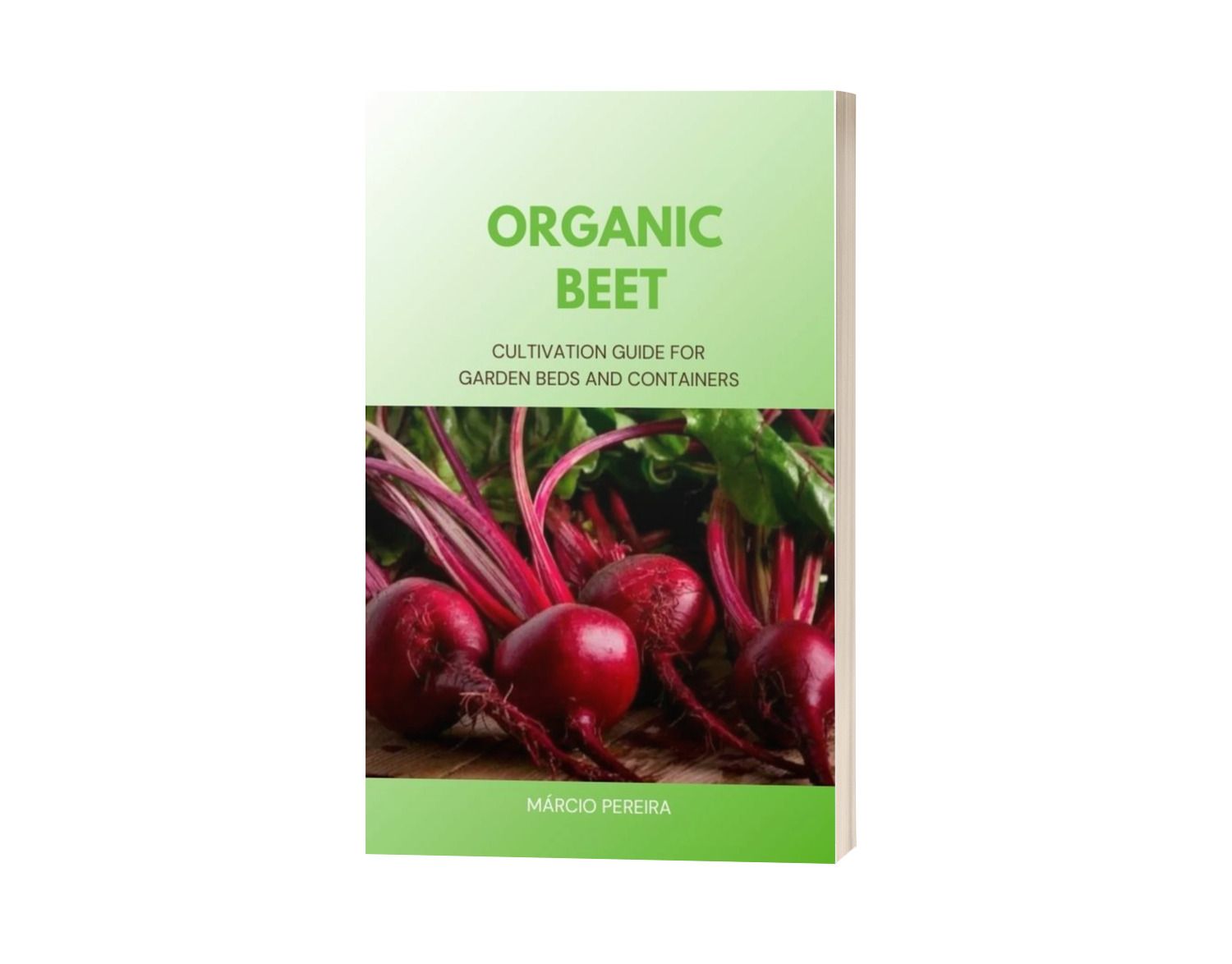 Organic Beet