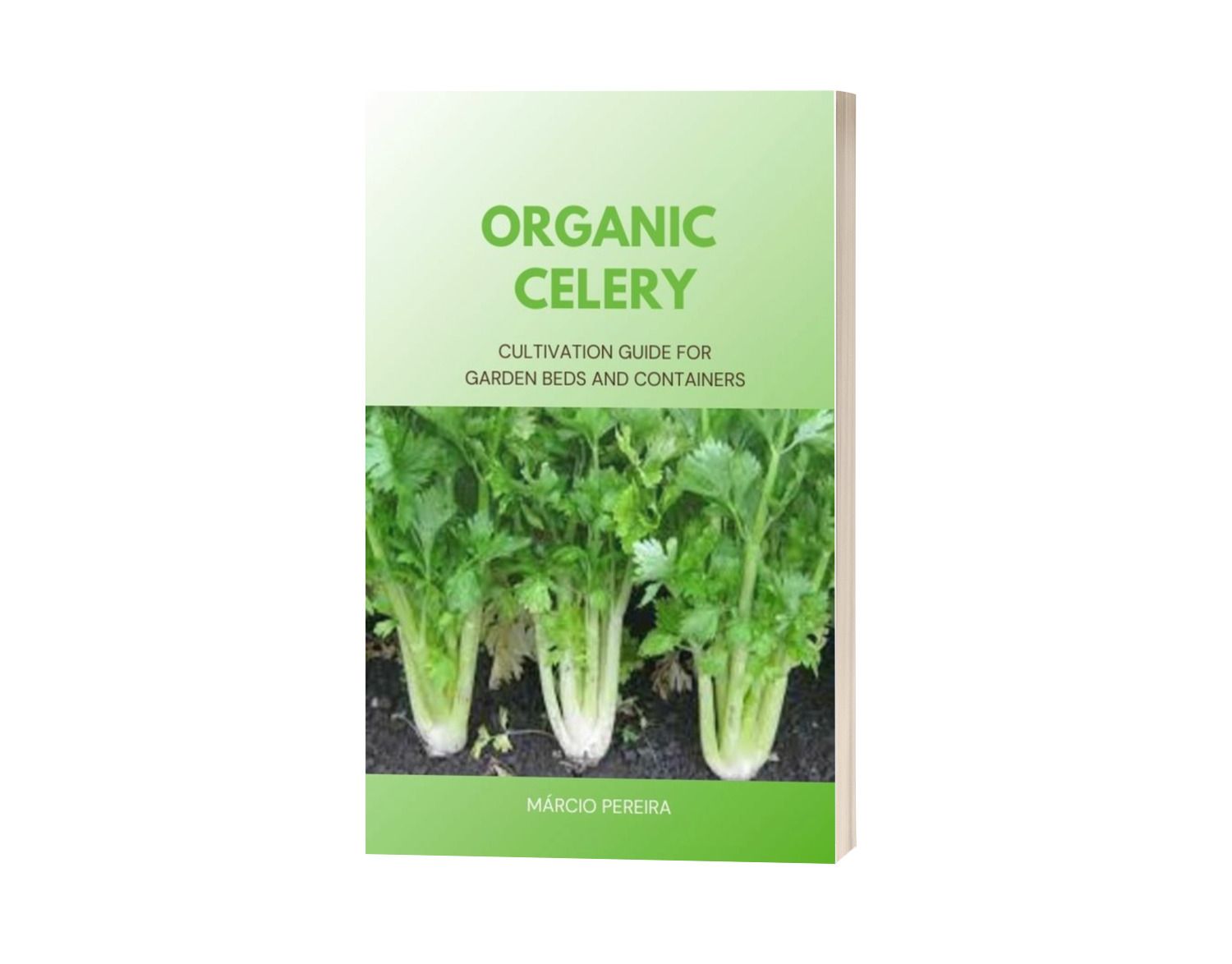 Organic Celery