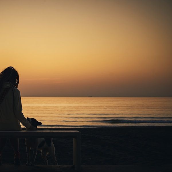 Un día a la vez — Cómo encontrar tranquilidad en el caos