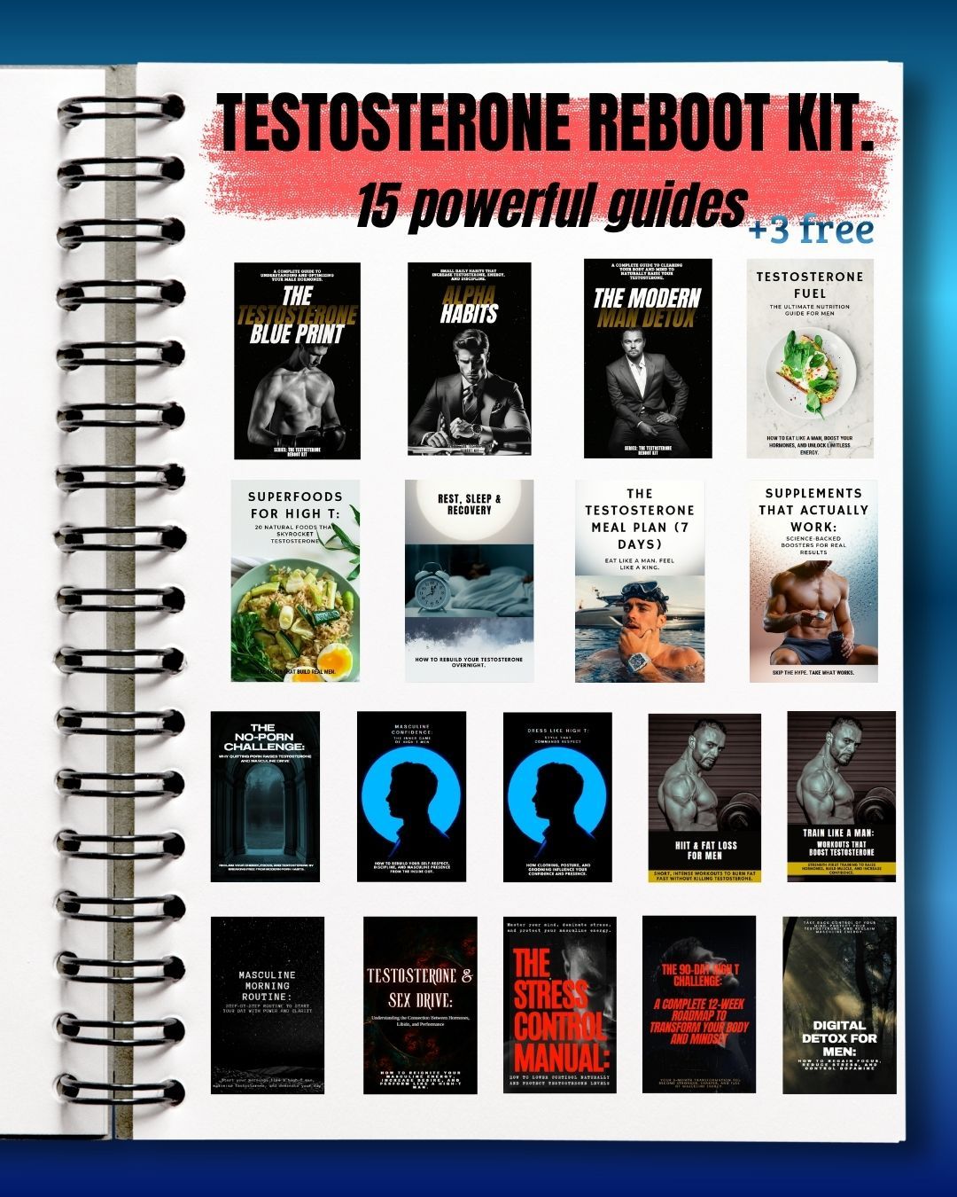 The Testosterone Reboot Kit