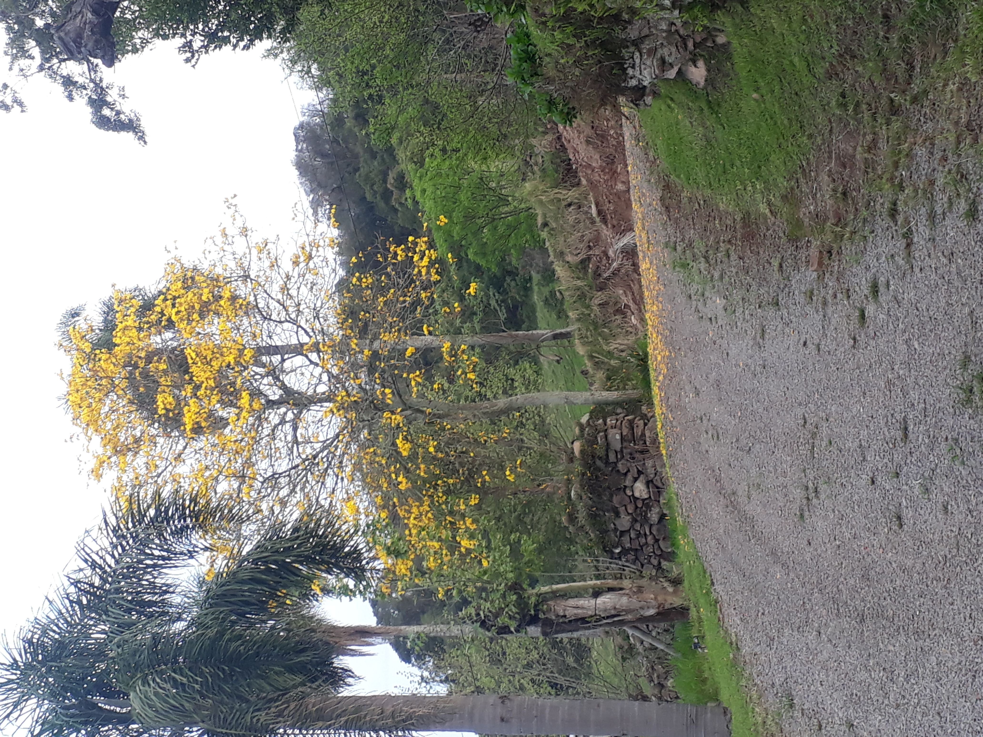 Photo in the interior of Brazil