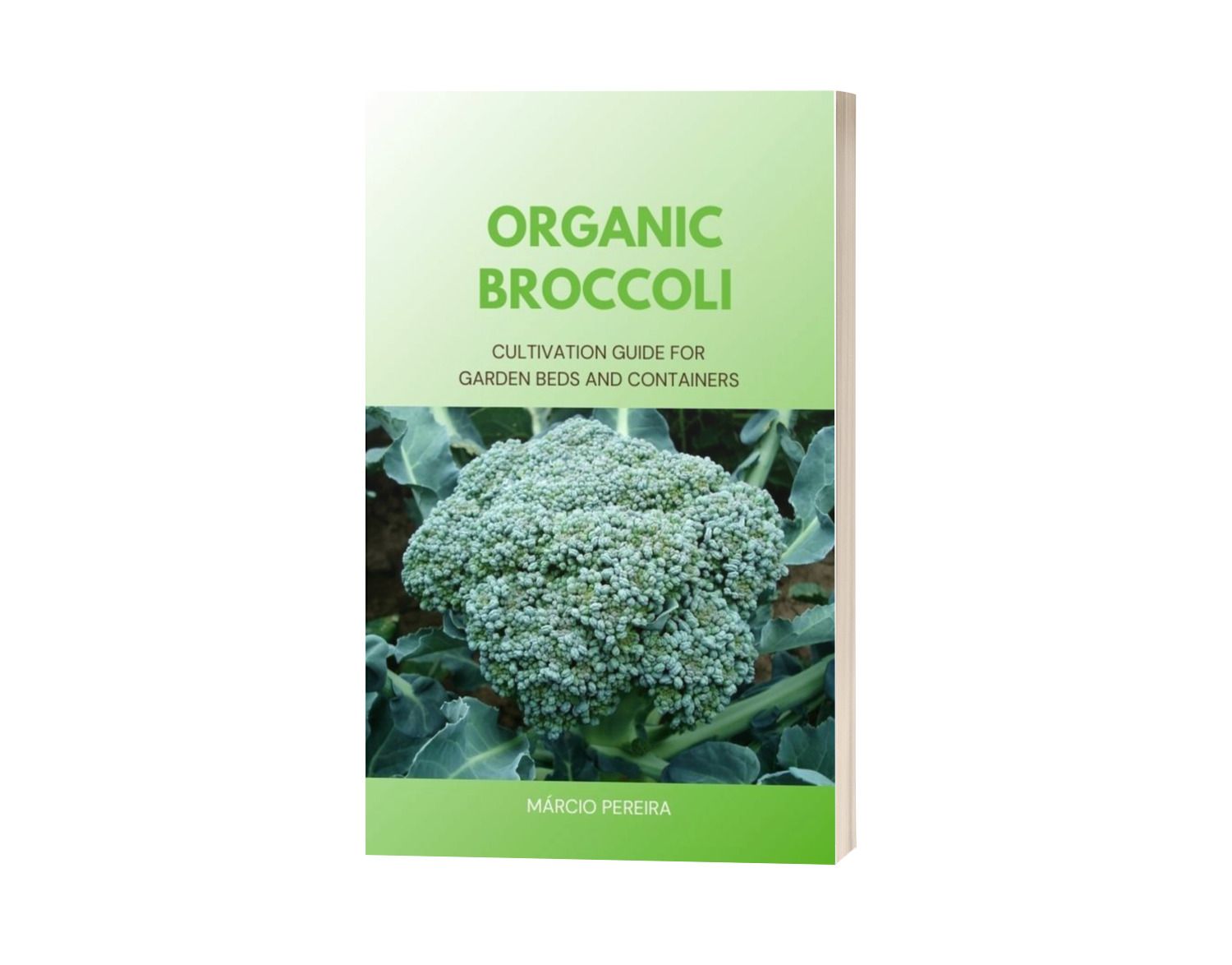 Organic Broccoli