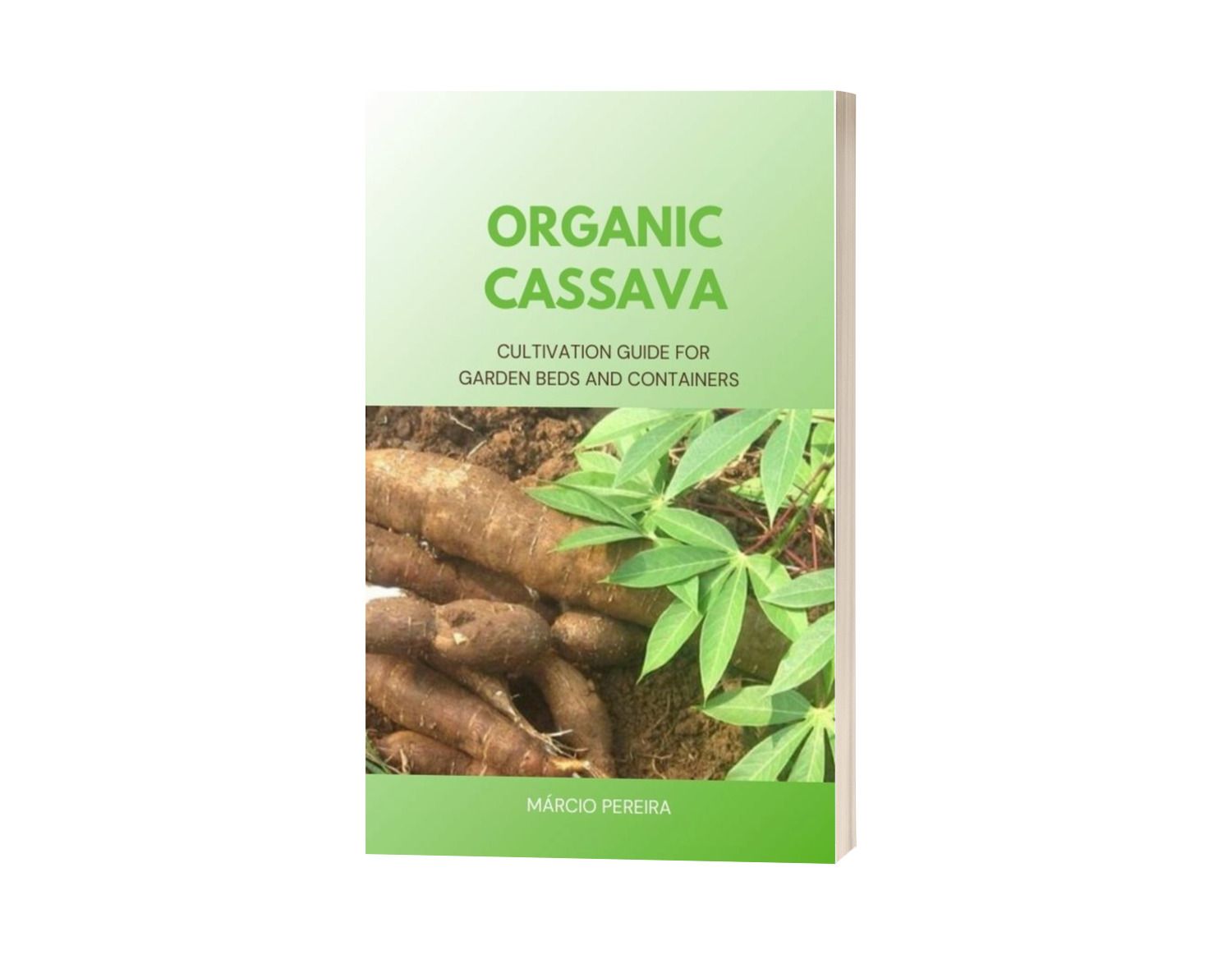 Organic Cassava