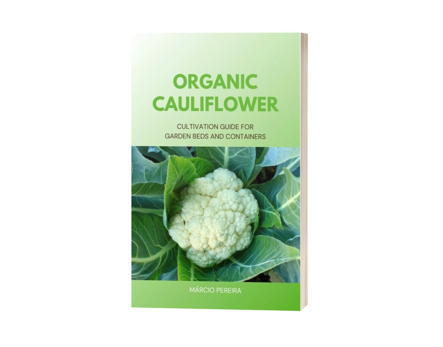 Organic Cauliflower