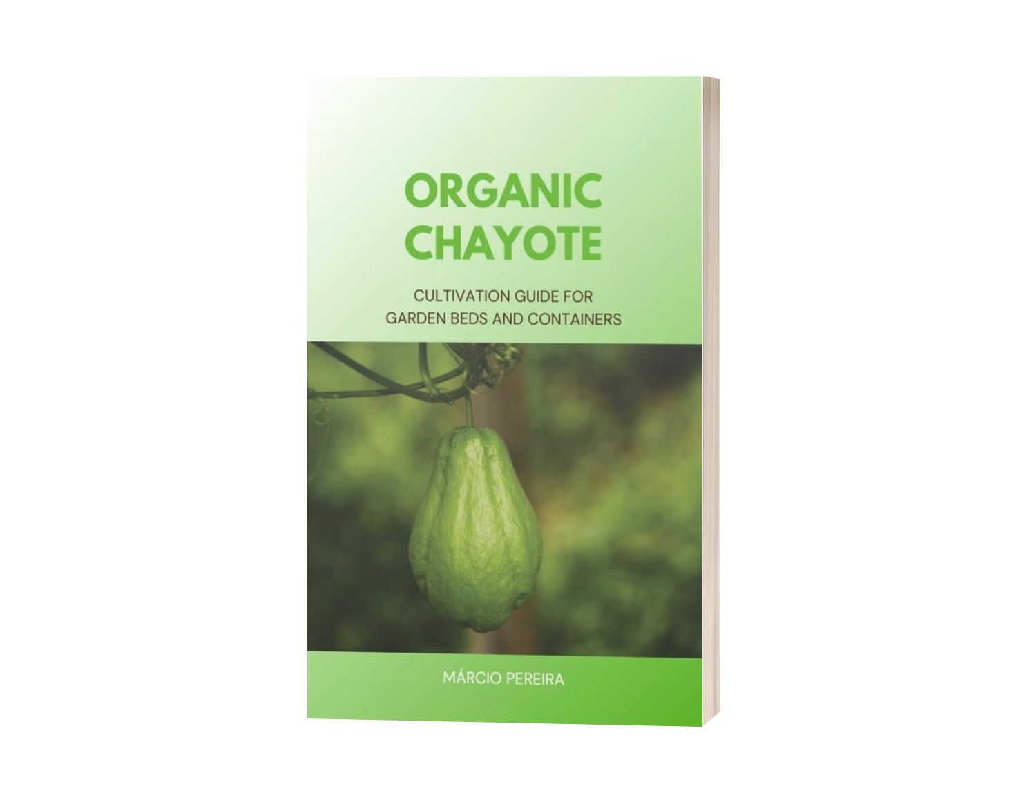 Organic Chayote