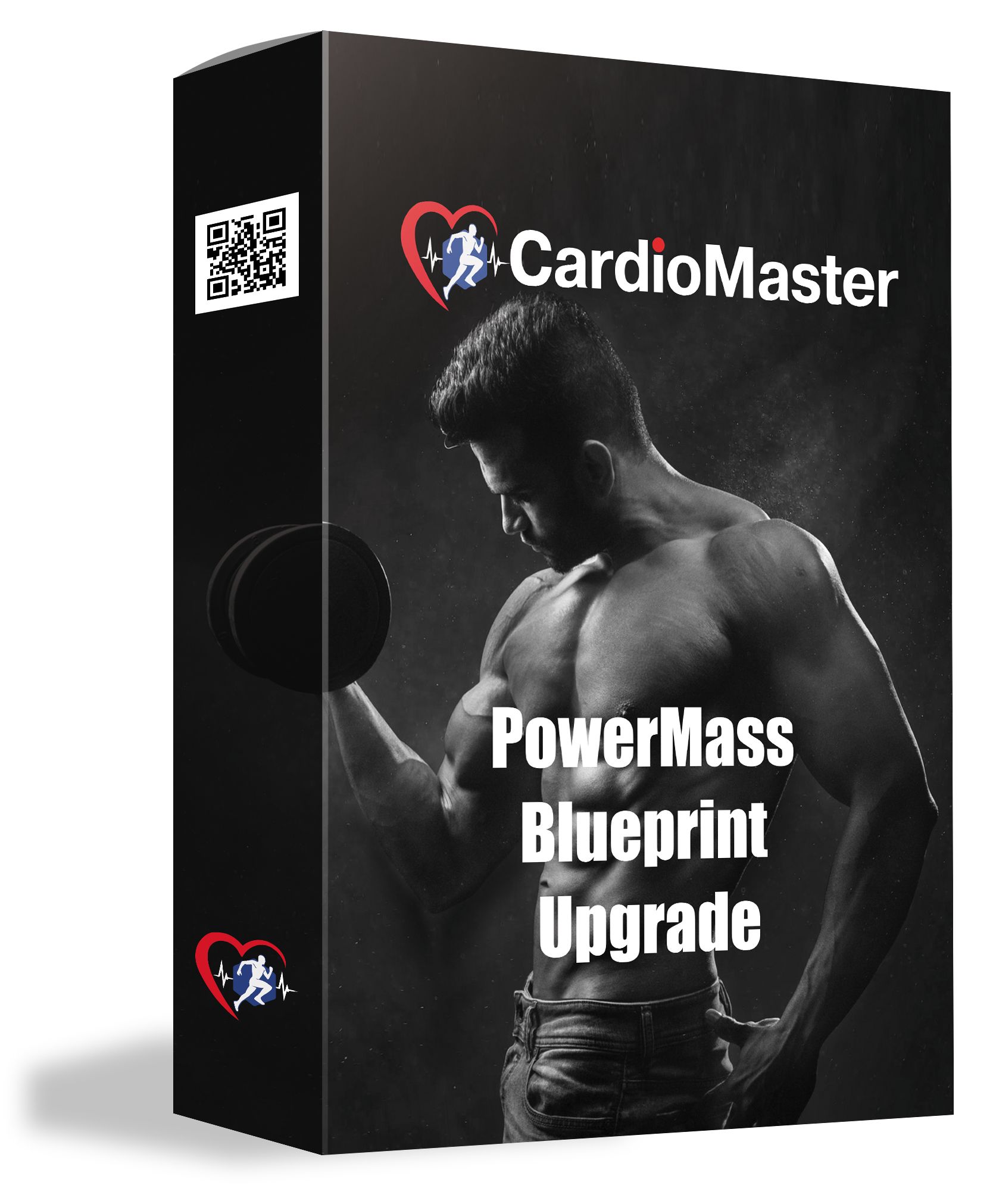 HOW TO QUALITY MUSCLE MASS AND STRENGHT