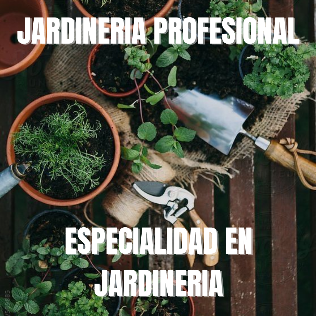 Especialidad - Jardineria Profesional