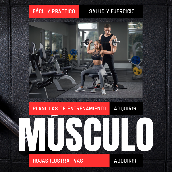 PLANILLAS DE ENTRENAMIENTO + VIDEOS
