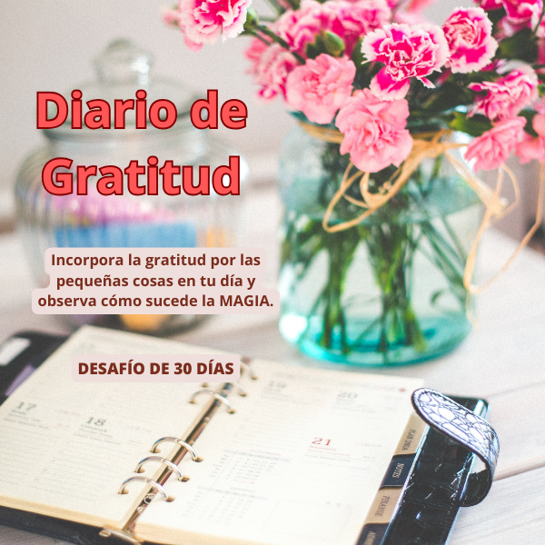 Diario de Gratitud - Incorpora la gratitud por las pequeñas cosas en tu día y observa cómo sucede la MAGIA.