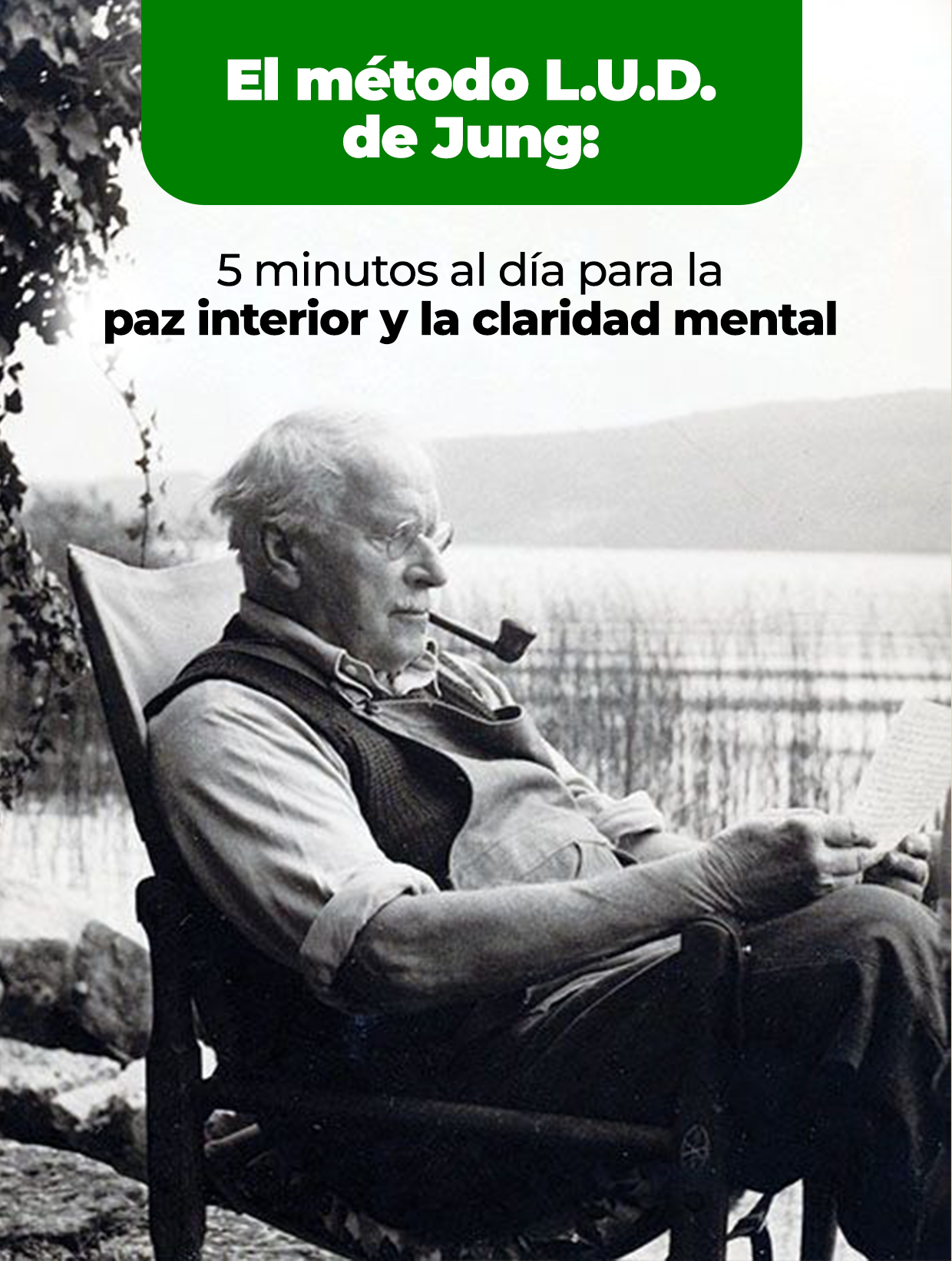 El método L.U.D. por Jung: 5 minutos diarios para la paz interior y la claridad mental
