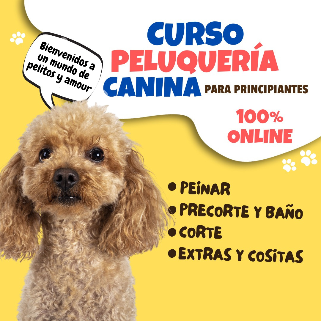 Curso de Peluquería Canina
