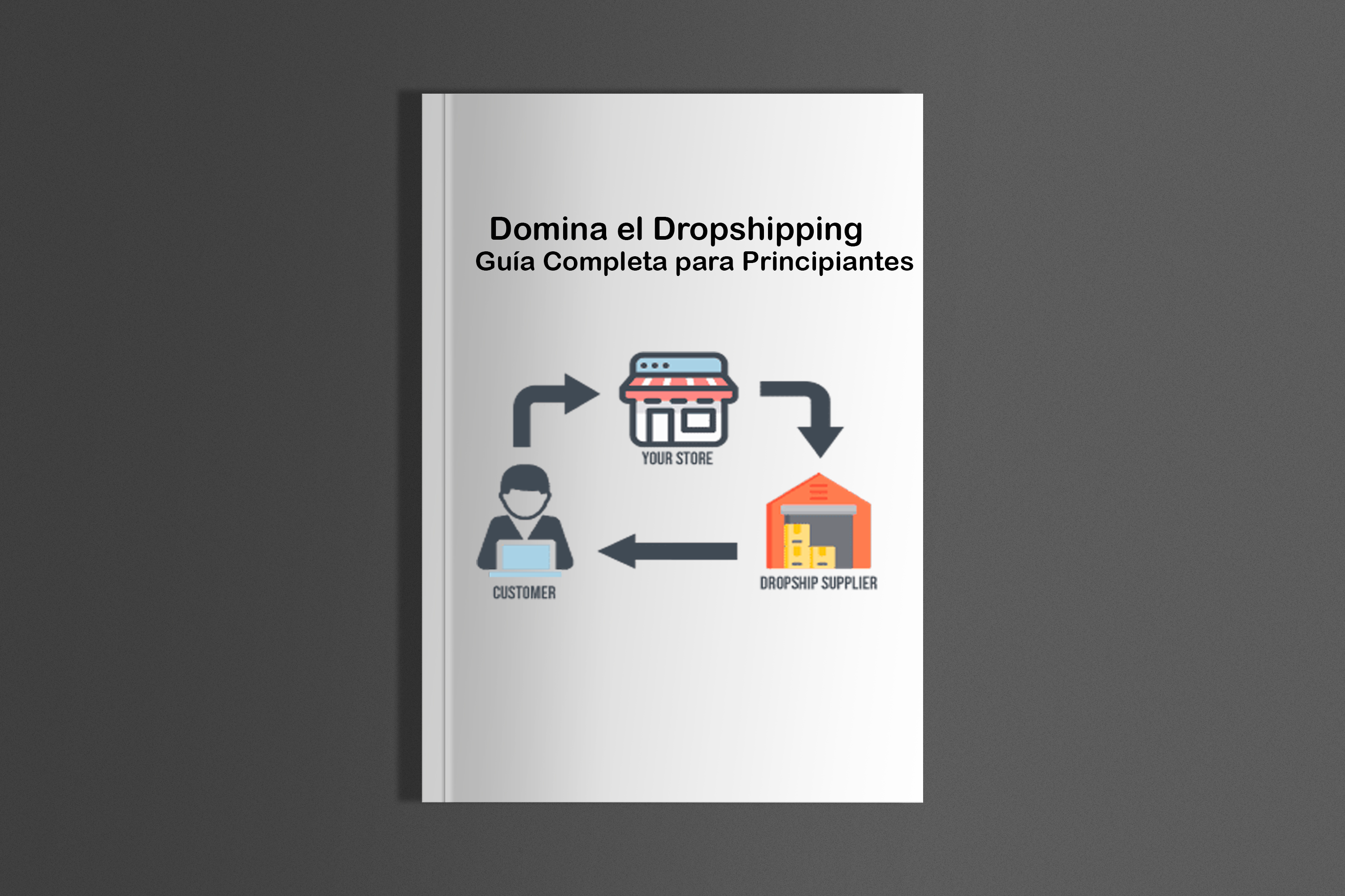 Domina el Dropshipping: Guía Completa para Principiantes