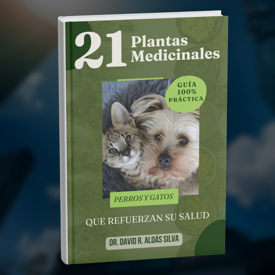 21 Plantas Medicinales Que Potencian la Salud de Perros y Gatos