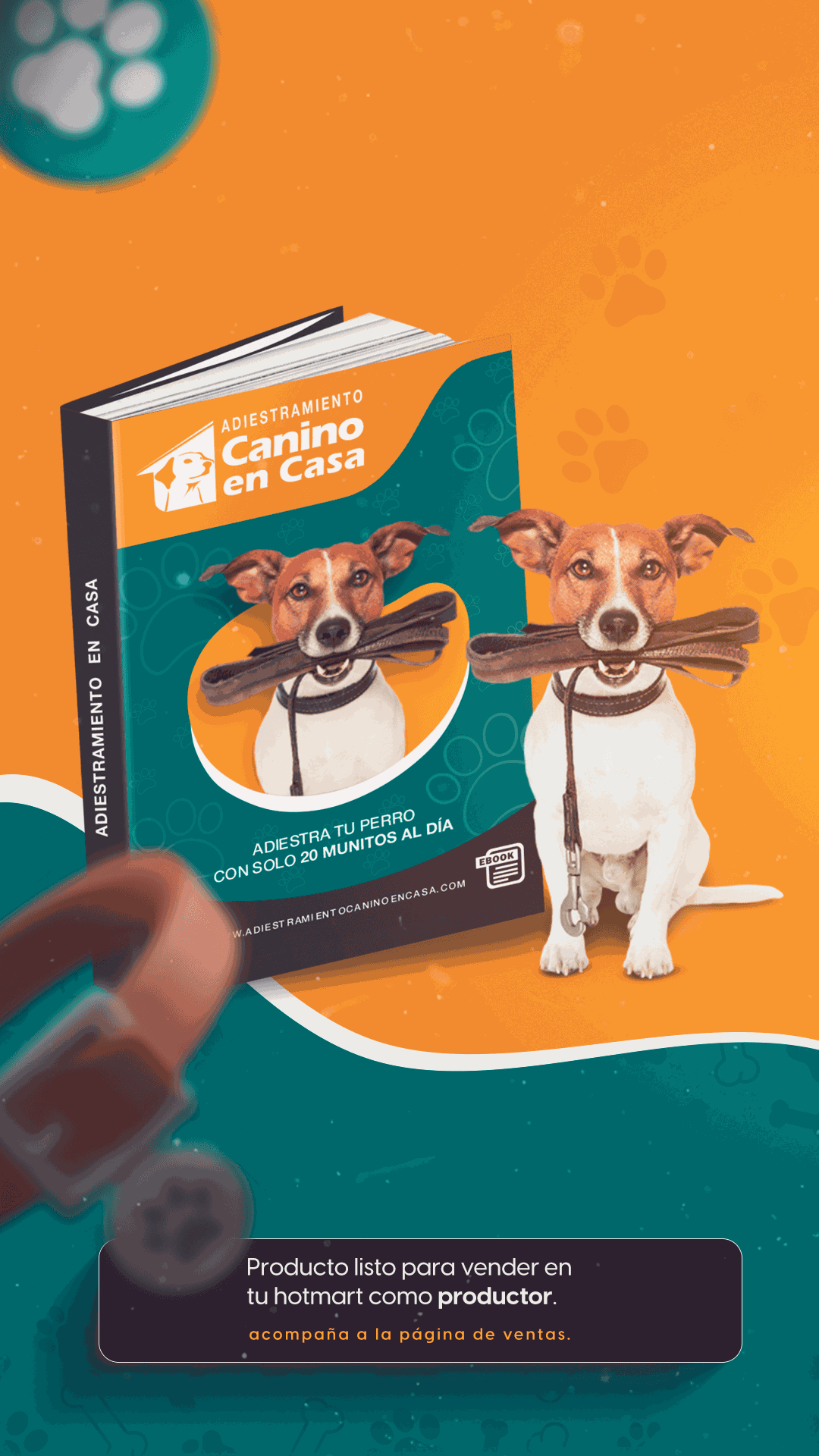 ADIESTRAMIENTO CANINO EN CASA