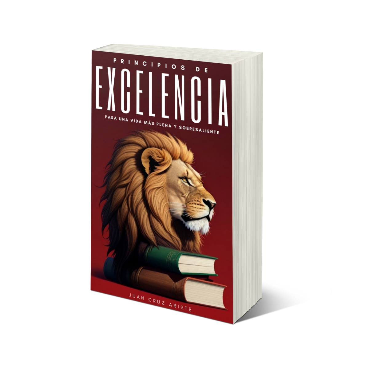 Principios de Excelencia: Para una vida más plena y sobresaliente.