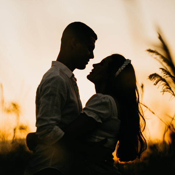 Protocolo 100% Actualizado