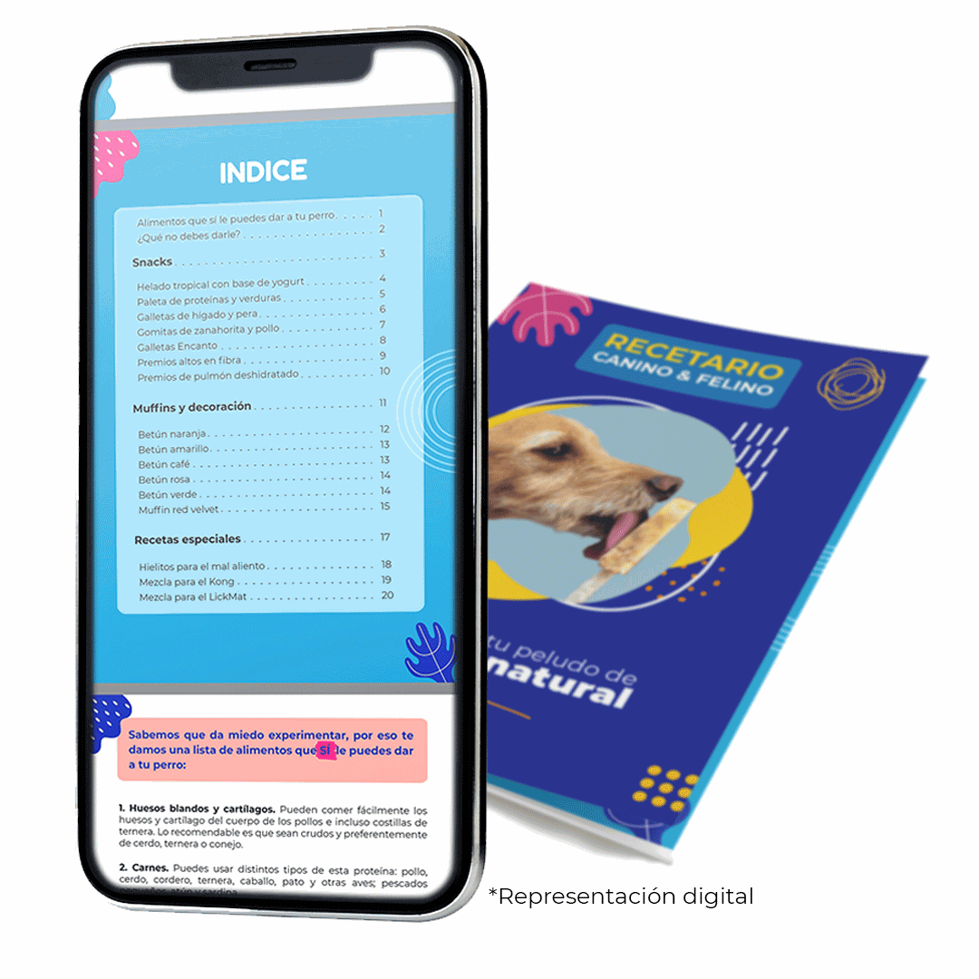 Recetario Canino y Felino (versión digital)