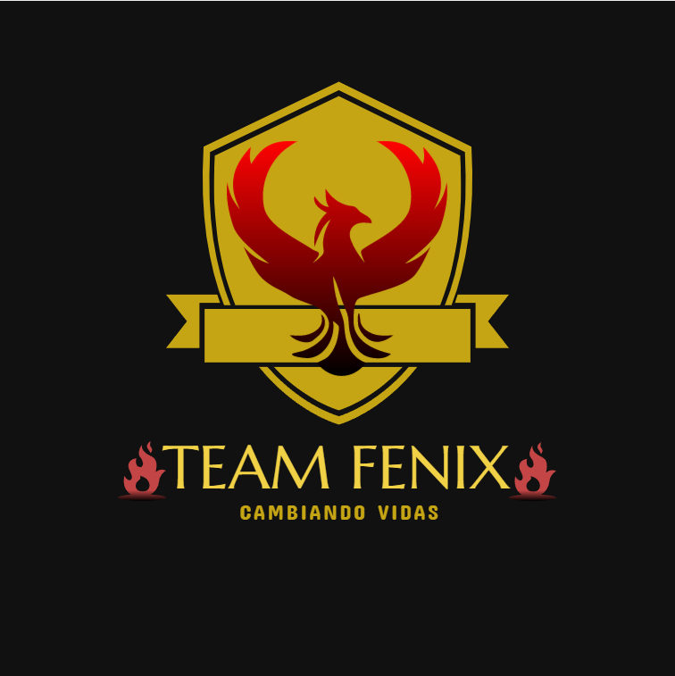 Team Fenix