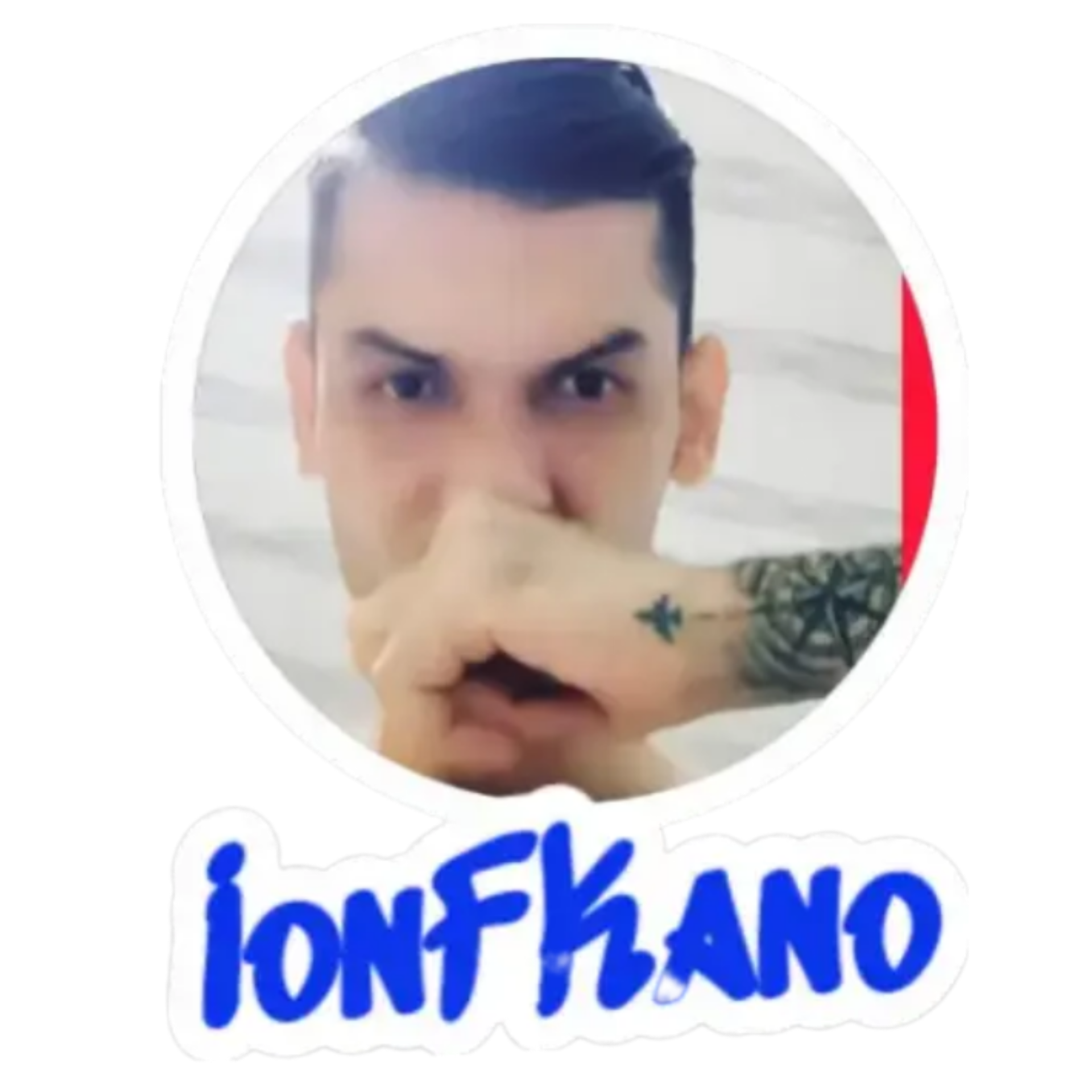 Doblaje voz y subtitulos Pro