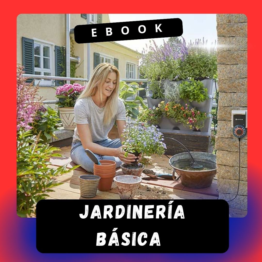 Jardinería básica