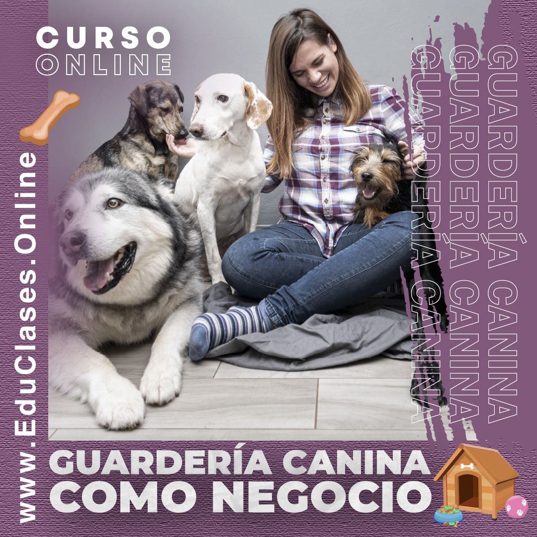 Guardería Canina Como Negocio