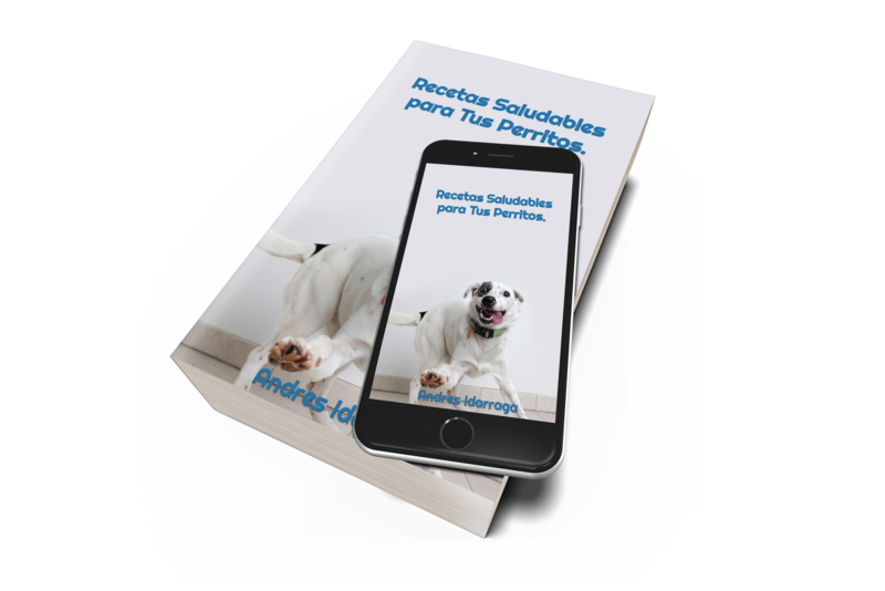 Recetas Saludables Para Tus Perros.