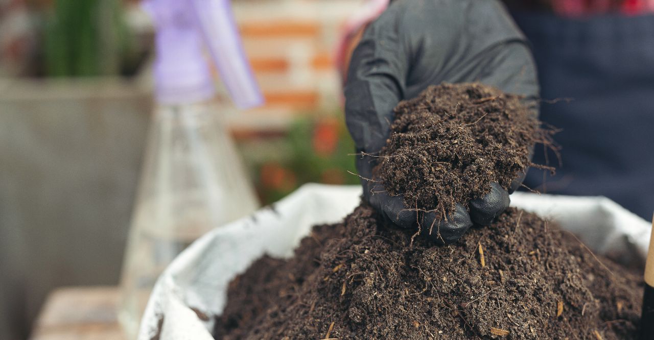 Uso y manejo de abonos orgánicos y fertilizantes en la Agricultura