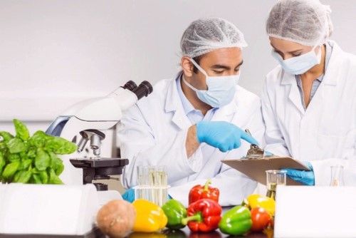 Auxiliar de Laboratorio - Microbiología de los Alimentos