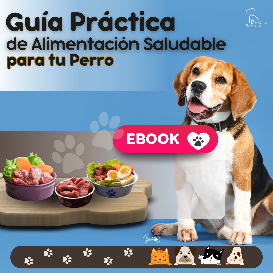 Guía Práctica de Alimentación Saludable para tu Perro