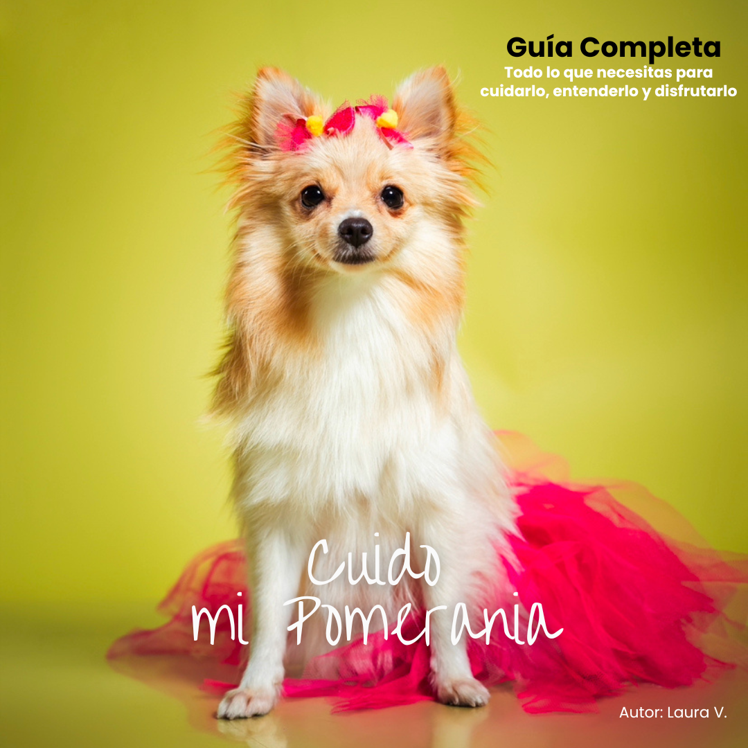 Cuido mi Pomerania