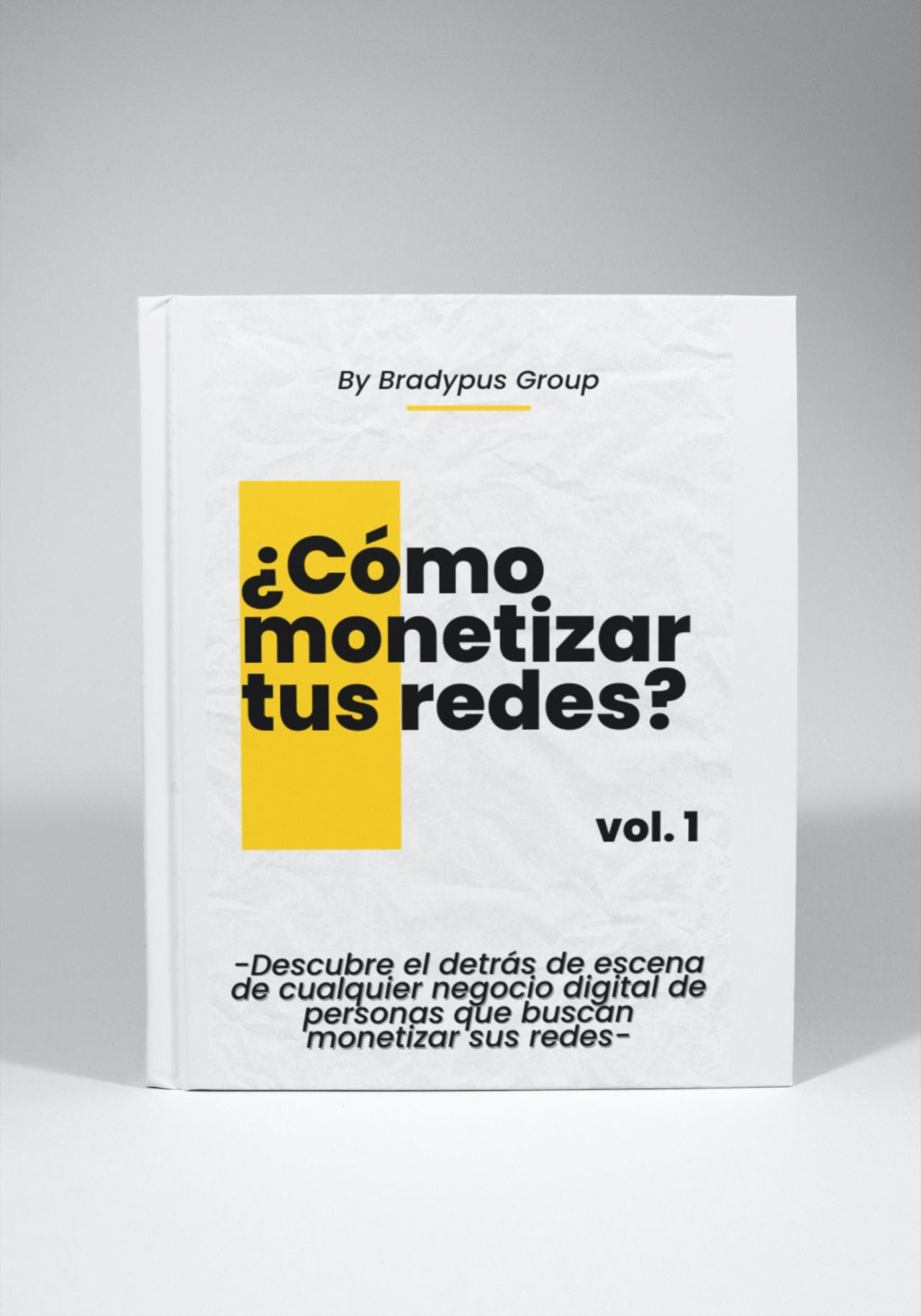 Cómo Monetizar tus Redes