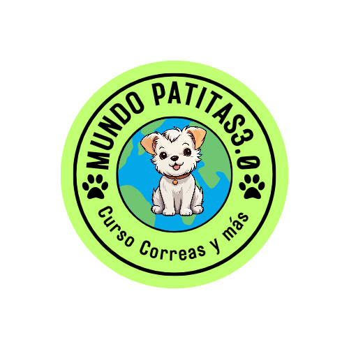 Curso de Correas Collares y Arneses Para Mascotas