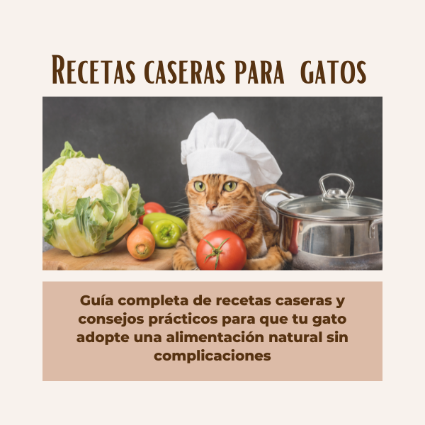 Recetas caseras para gatos