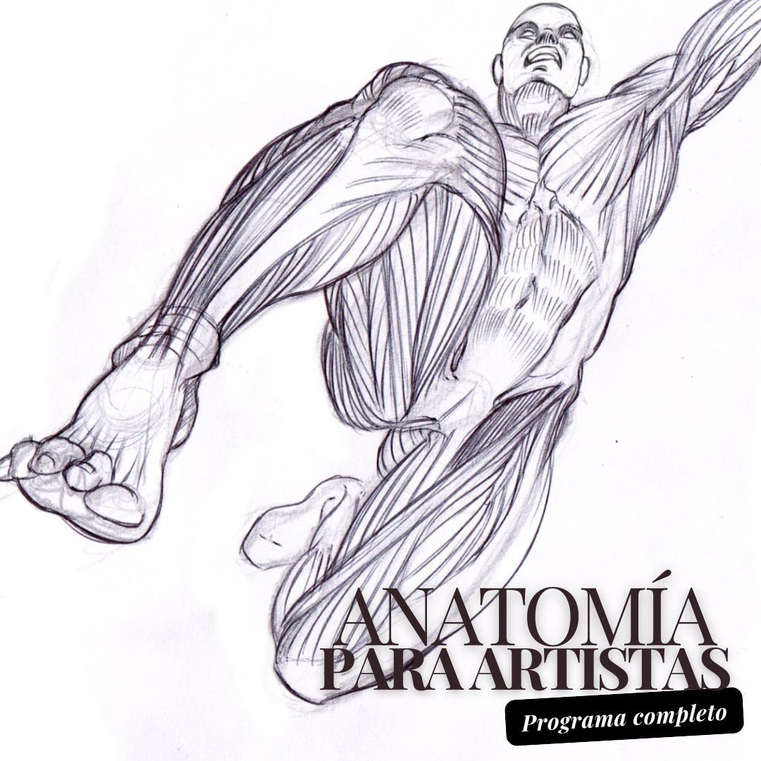 Programa completo Anatomia nuevo