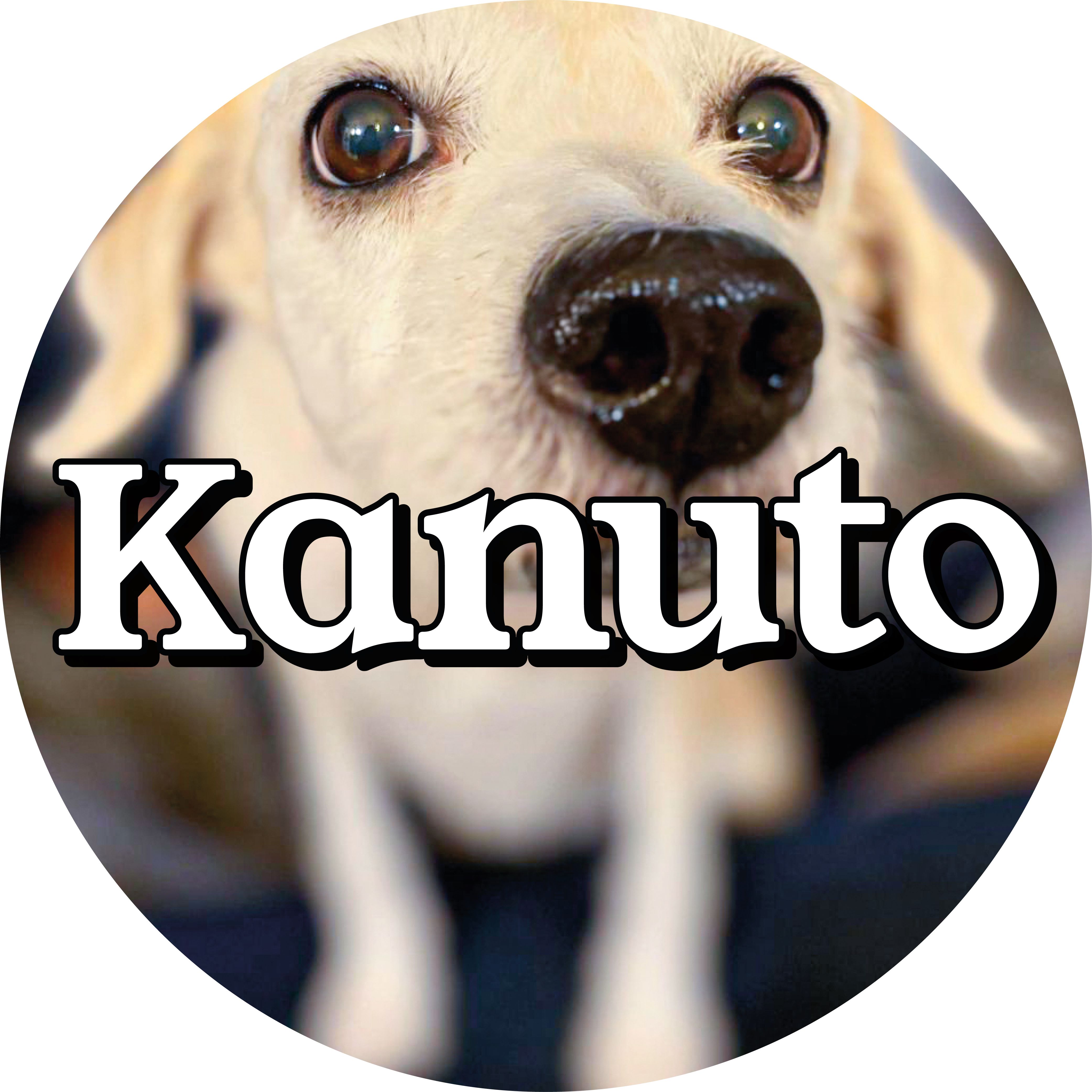 Kanuto