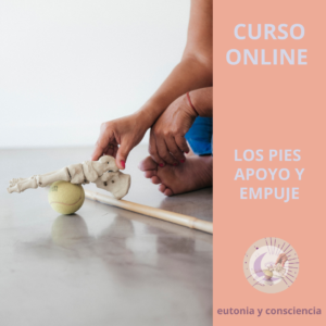 Los Pies Apoyo y Empuje
