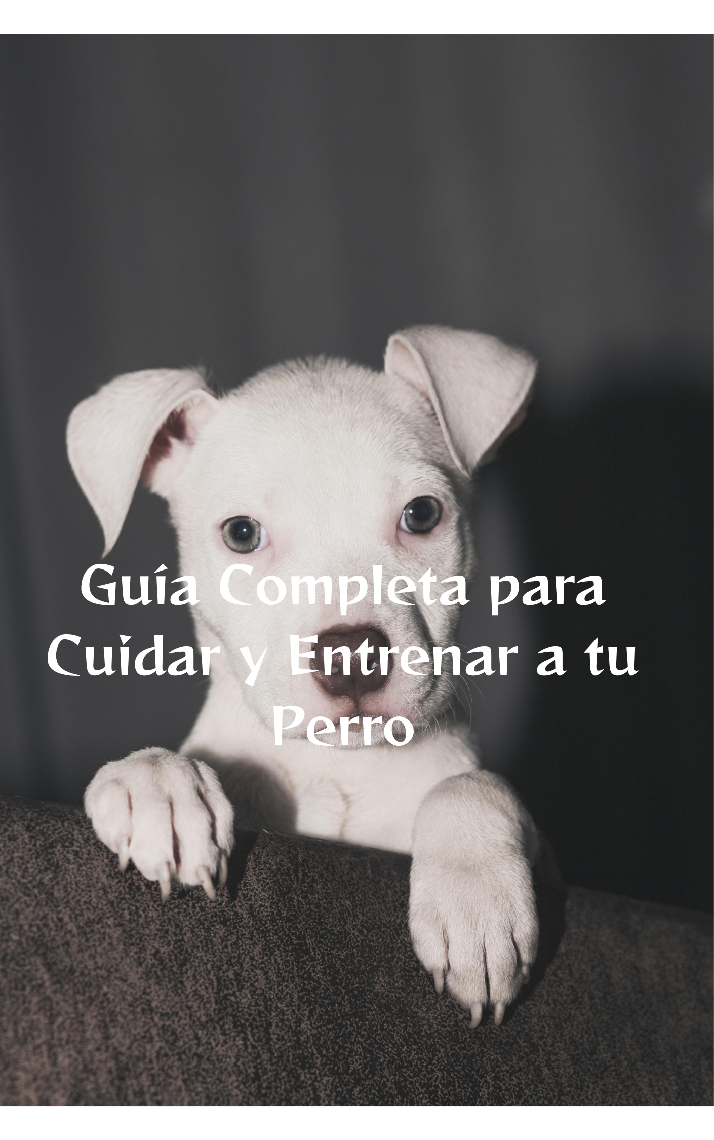 Guía Completa para Cuidar y Entrenar a tu Perro