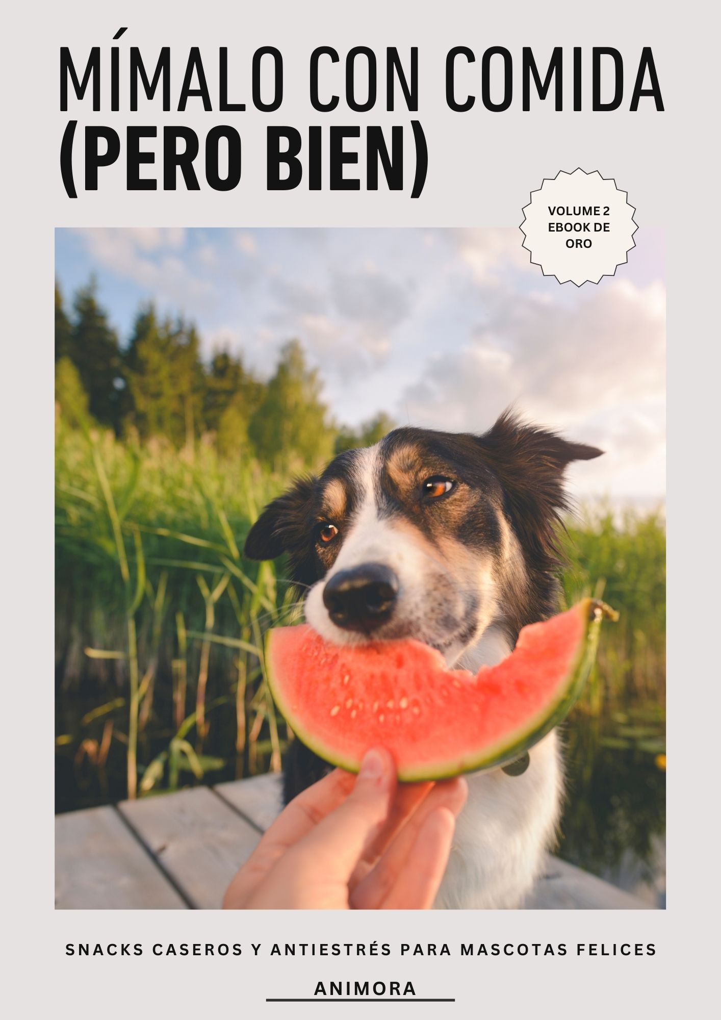 Mímalo con Comida (Pero Bien)