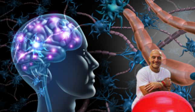 Neurociencias y Motricidad Humana