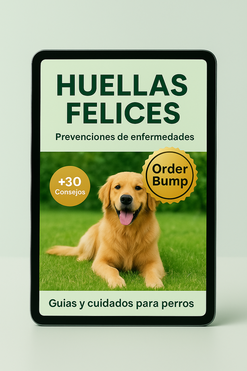 Los 7 pasos esenciales para prevenir enfermedades en perros